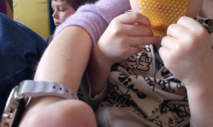 Warsztaty Pszczelarskie - Zdjęcie 12