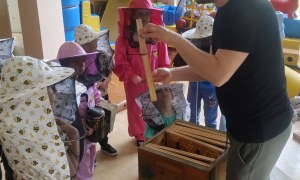 Warsztaty Pszczelarskie - Zdjęcie 17