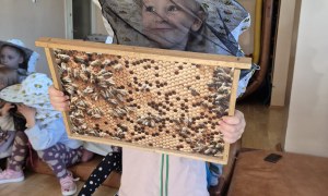 Warsztaty Pszczelarskie - Zdjęcie 56