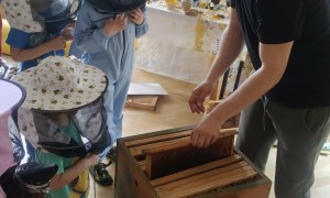 Warsztaty Pszczelarskie - Zdjęcie 91