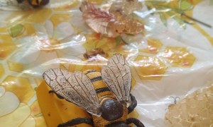 Warsztaty Pszczelarskie - Zdjęcie 94