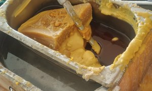 Warsztaty Pszczelarskie - Zdjęcie 108