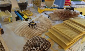 Warsztaty Pszczelarskie - Zdjęcie 150