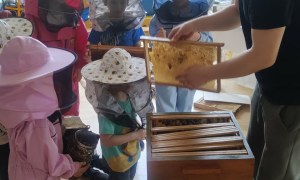 Warsztaty Pszczelarskie - Zdjęcie 152