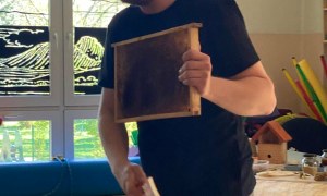 Warsztaty Pszczelarskie - Zdjęcie 192