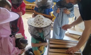 Warsztaty Pszczelarskie - Zdjęcie 191