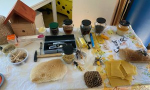 Warsztaty Pszczelarskie - Zdjęcie 59