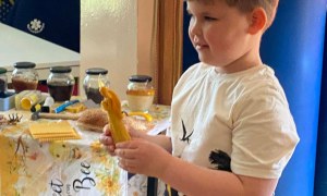 Warsztaty Pszczelarskie - Zdjęcie 119