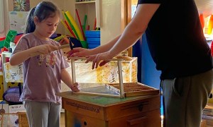 Warsztaty Pszczelarskie - Zdjęcie 124