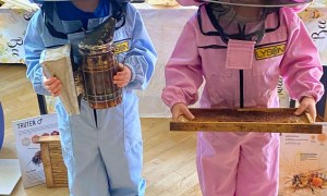 Warsztaty Pszczelarskie - Zdjęcie 188