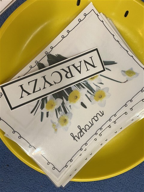 Misie: Kwiecień 2026 - Zdjęcie 28