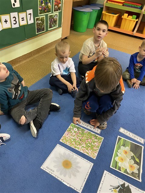 Misie: Kwiecień 2026 - Zdjęcie 48