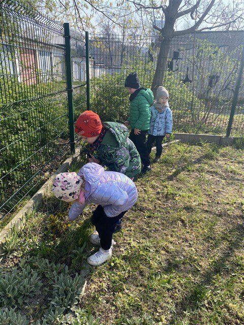 Misie: Kwiecień 2026 - Zdjęcie 102