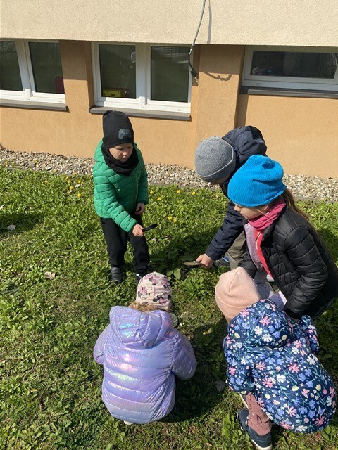 Misie: Kwiecień 2026 - Zdjęcie 115