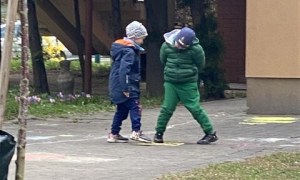 Misie: Kwiecień 2026 - Zdjęcie 58