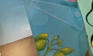 Misie: Kwiecień 2026 - Zdjęcie 80