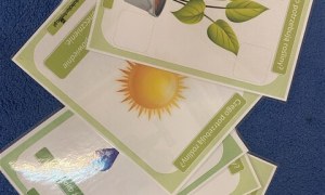 Misie: Kwiecień 2026 - Zdjęcie 86