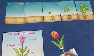 Misie: Kwiecień 2026 - Zdjęcie 94