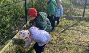 Misie: Kwiecień 2026 - Zdjęcie 102