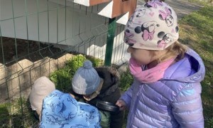 Misie: Kwiecień 2026 - Zdjęcie 108