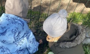 Misie: Kwiecień 2026 - Zdjęcie 109