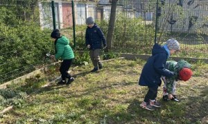 Misie: Kwiecień 2026 - Zdjęcie 114