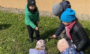 Misie: Kwiecień 2026 - Zdjęcie 115
