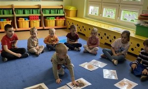 Misie: Kwiecień 2026 - Zdjęcie 152
