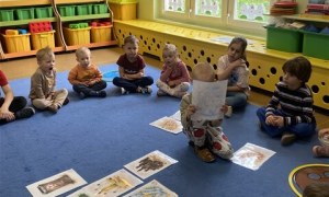 Misie: Kwiecień 2026 - Zdjęcie 153
