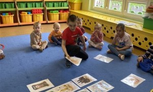 Misie: Kwiecień 2026 - Zdjęcie 155