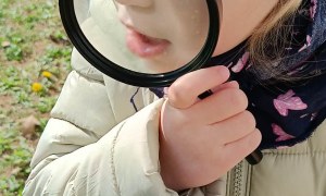 Jeżyki: Kwiecień 2026 - Zdjęcie 5