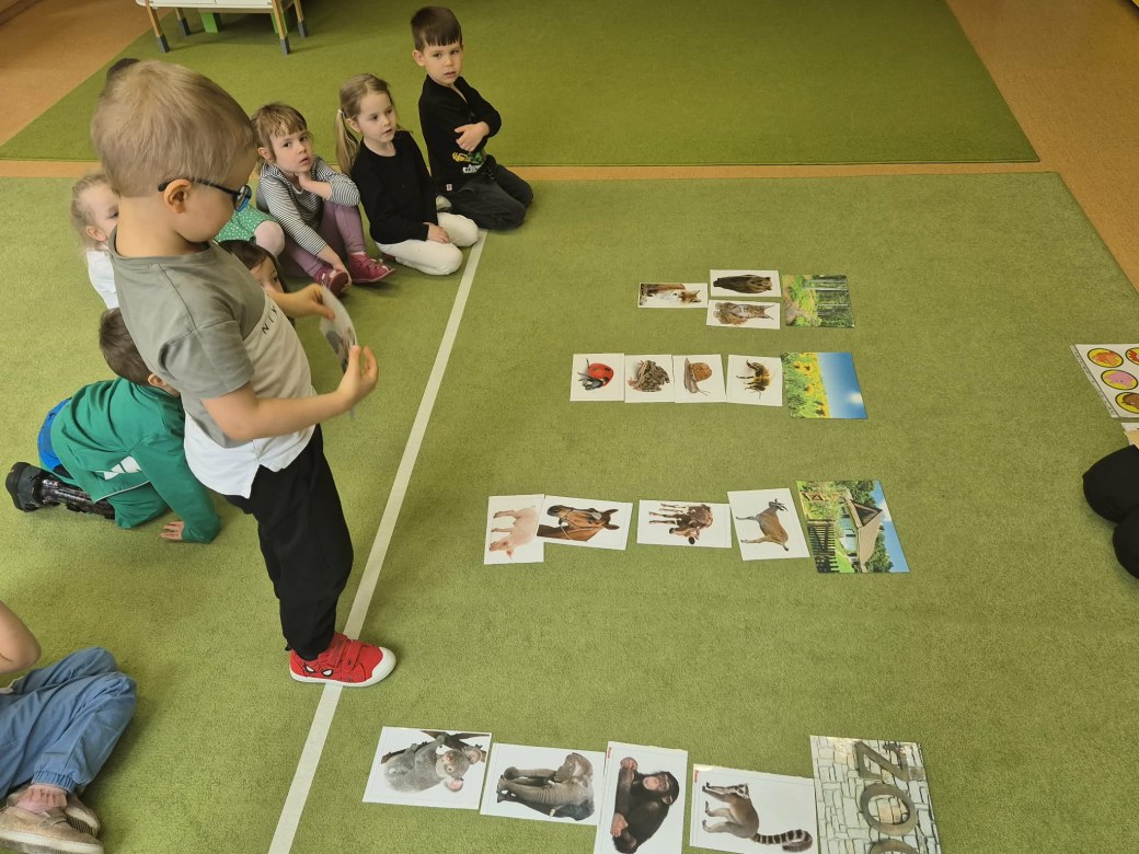 Sówki: Kwiecień 2026 - Zdjęcie 284