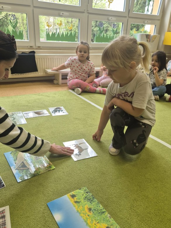 Sówki: Kwiecień 2026 - Zdjęcie 308