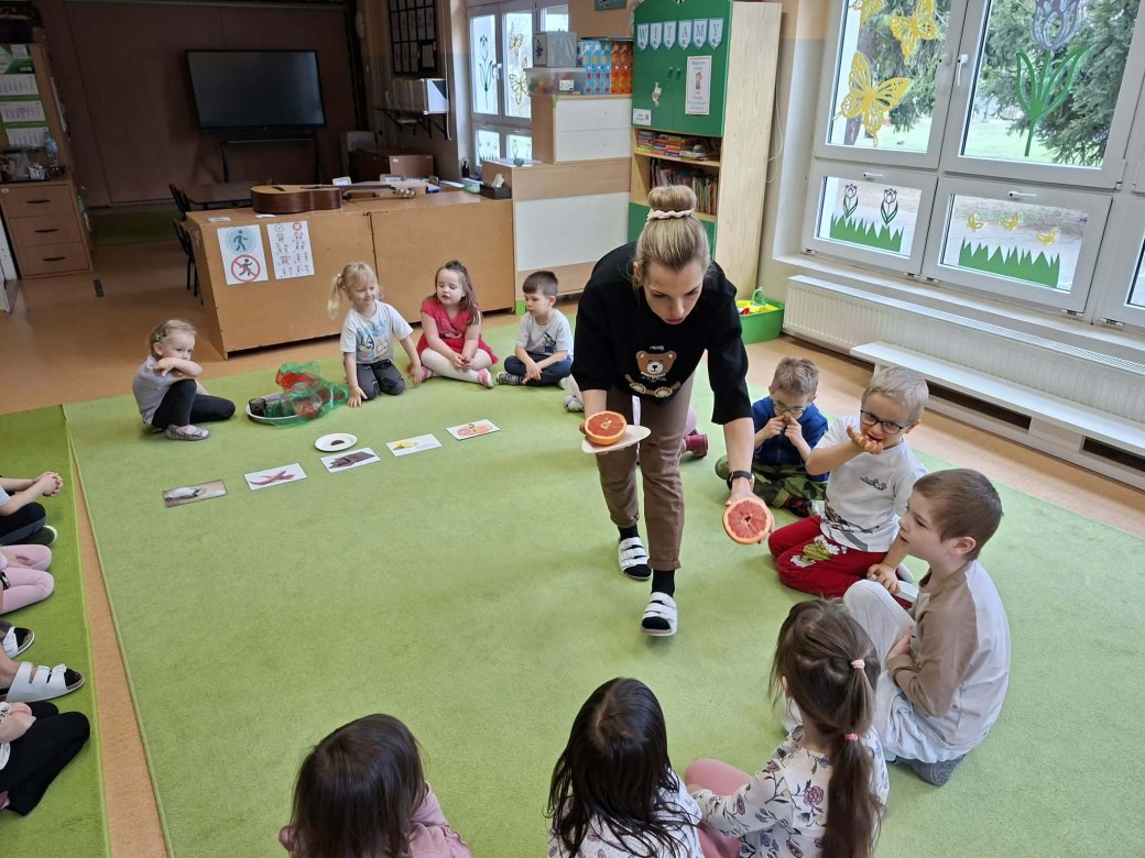 Sówki: Kwiecień 2026 - Zdjęcie 16