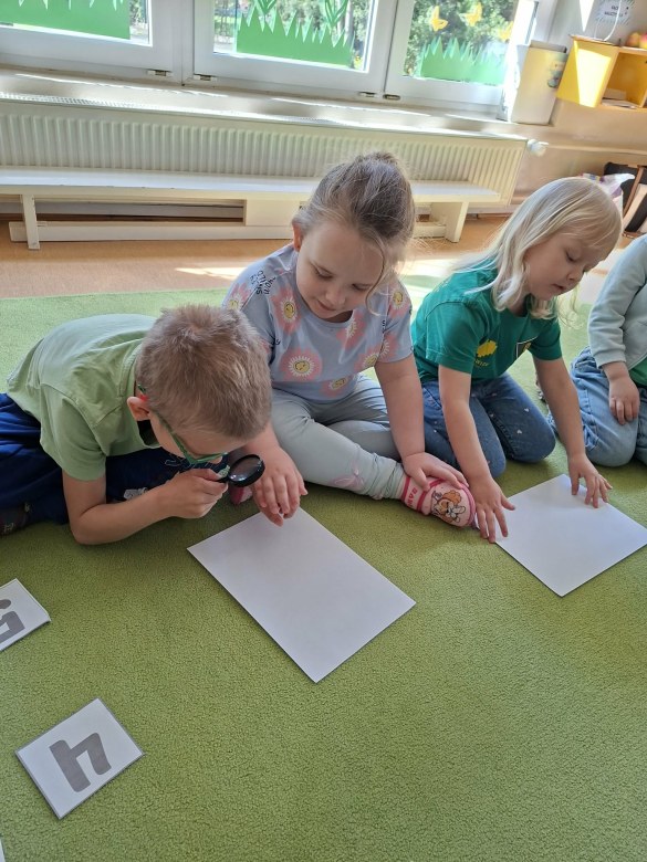 Sówki: Kwiecień 2026 - Zdjęcie 45