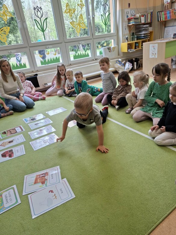 Sówki: Kwiecień 2026 - Zdjęcie 60