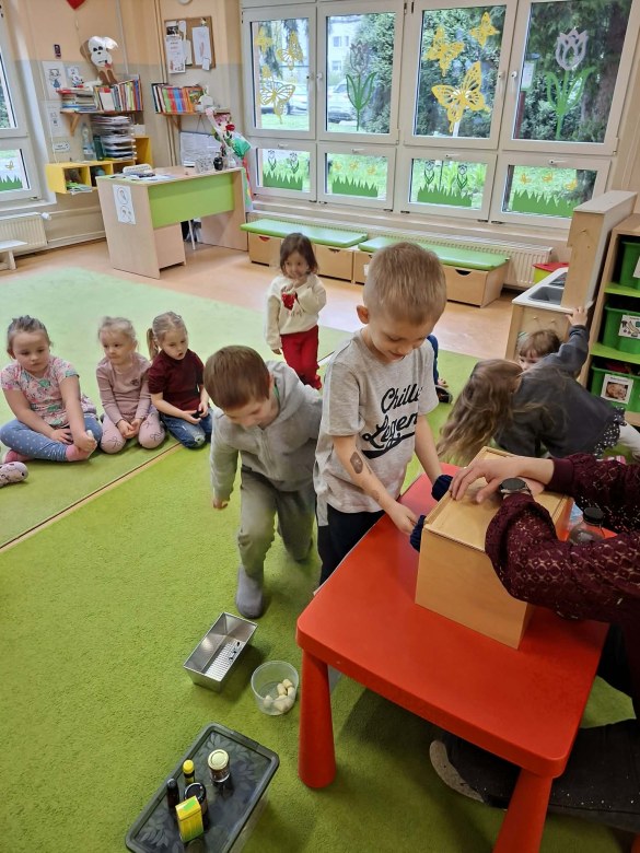 Sówki: Kwiecień 2026 - Zdjęcie 72