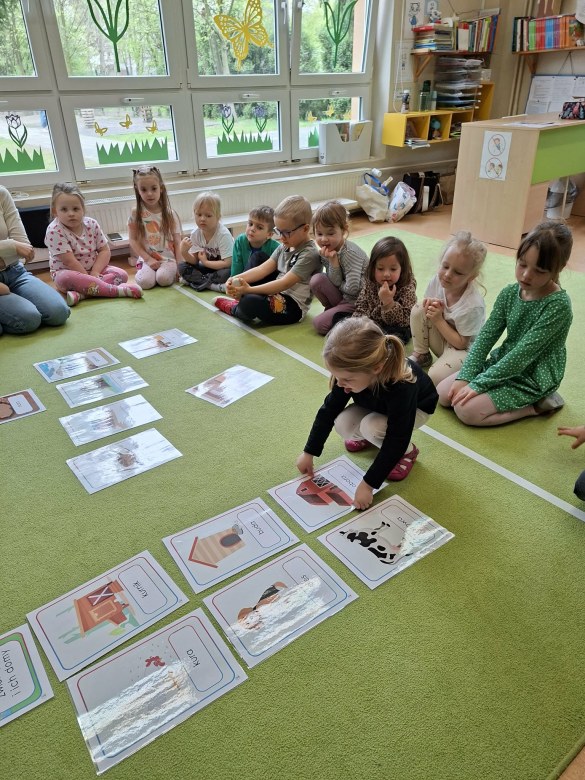 Sówki: Kwiecień 2026 - Zdjęcie 100