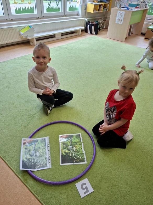 Sówki: Kwiecień 2026 - Zdjęcie 121
