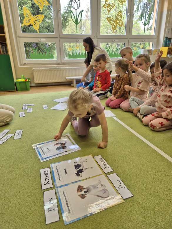 Sówki: Kwiecień 2026 - Zdjęcie 125