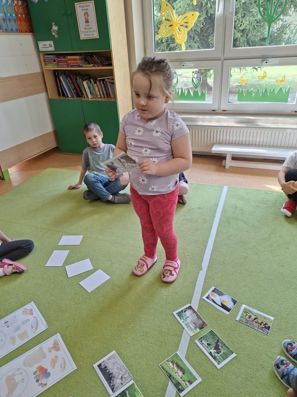Sówki: Kwiecień 2026 - Zdjęcie 138