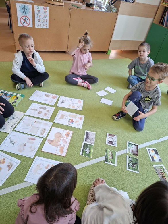 Sówki: Kwiecień 2026 - Zdjęcie 160