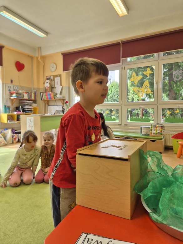 Sówki: Kwiecień 2026 - Zdjęcie 192