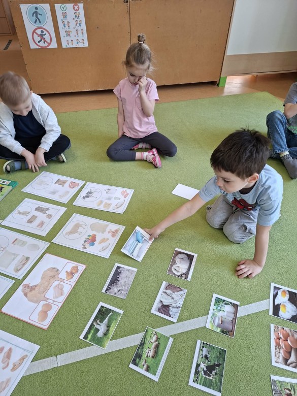 Sówki: Kwiecień 2026 - Zdjęcie 215