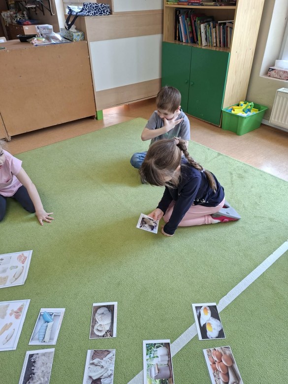 Sówki: Kwiecień 2026 - Zdjęcie 231