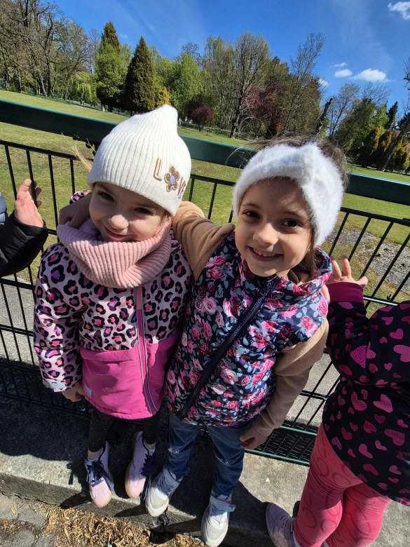 Sówki: Kwiecień 2026 - Zdjęcie 236