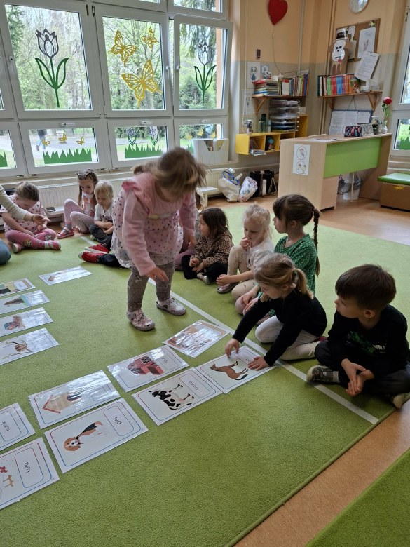Sówki: Kwiecień 2026 - Zdjęcie 4