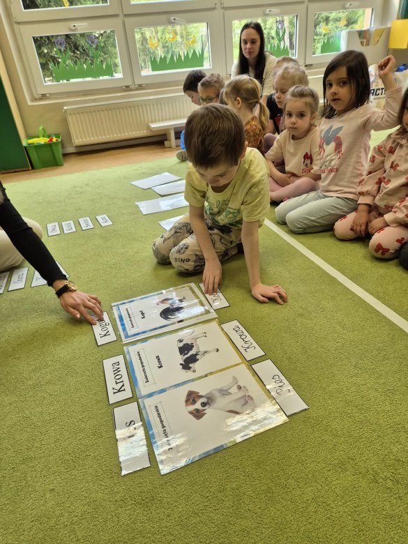 Sówki: Kwiecień 2026 - Zdjęcie 56