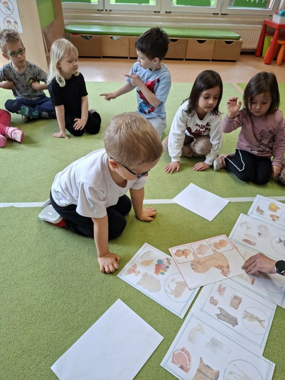 Sówki: Kwiecień 2026 - Zdjęcie 111