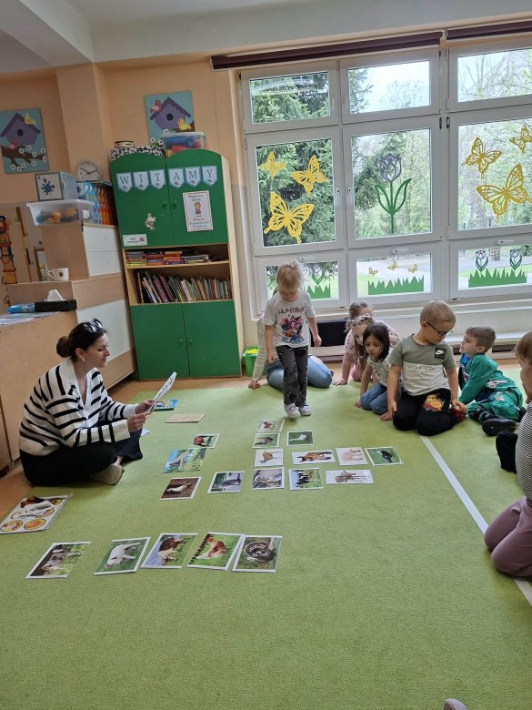 Sówki: Kwiecień 2026 - Zdjęcie 139